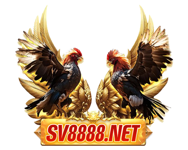 Sv8888